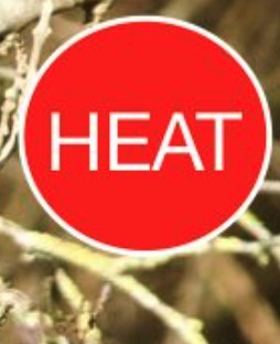 HEAT – Hadleigh Environment Action Team HEAT – Hadleigh Environment Action Team
