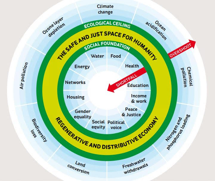 donut eco